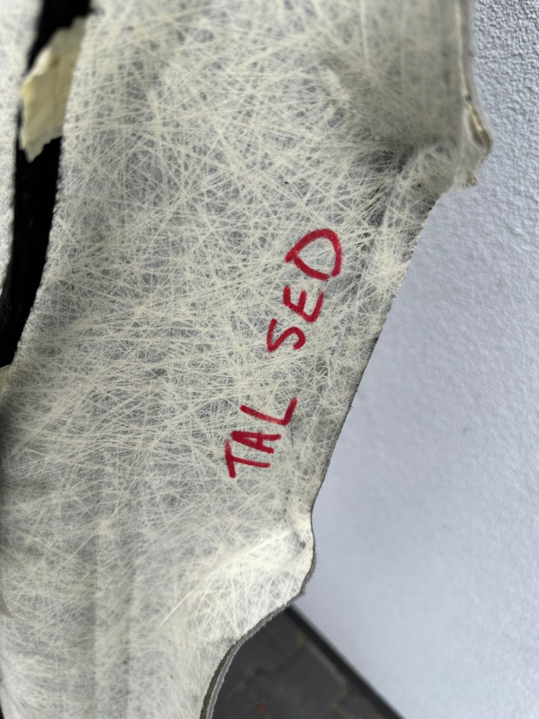 фото №5, Talisman sedan стеля панорама