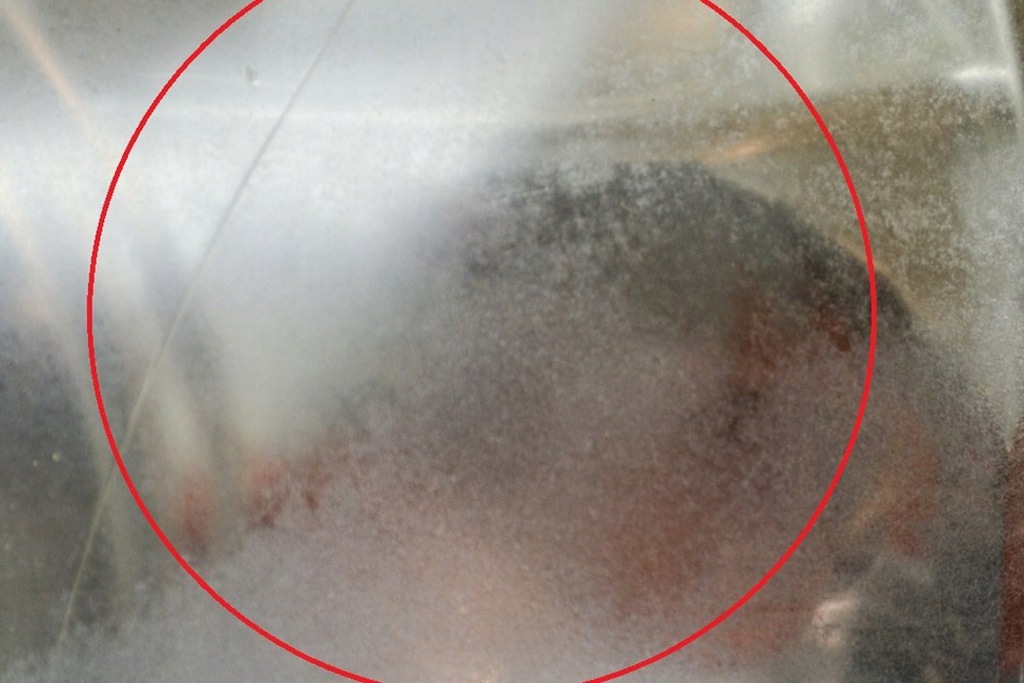 фото №8, Kia carens rs 2.0 crdi передний левый фара 0k2fa-51020 103kw 2005 rhd