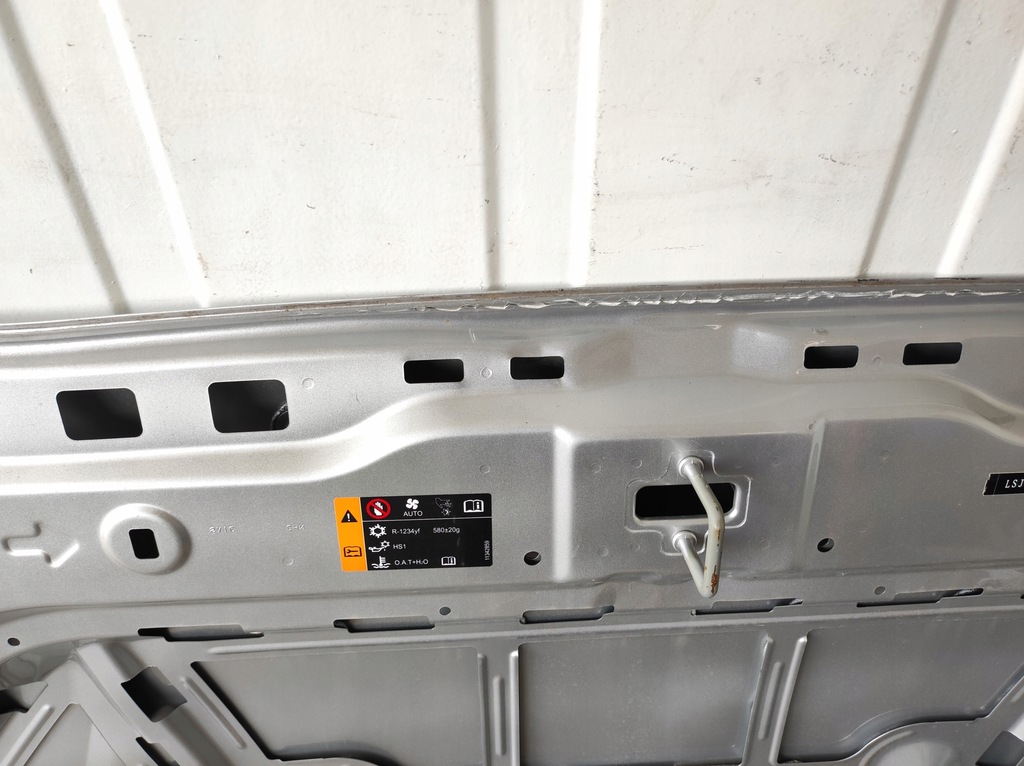 фото №15, Капот mg mg4 mulan