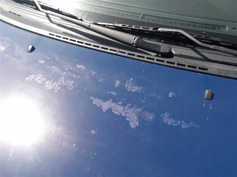 фото №3, Капот toyota corolla e12 8q4