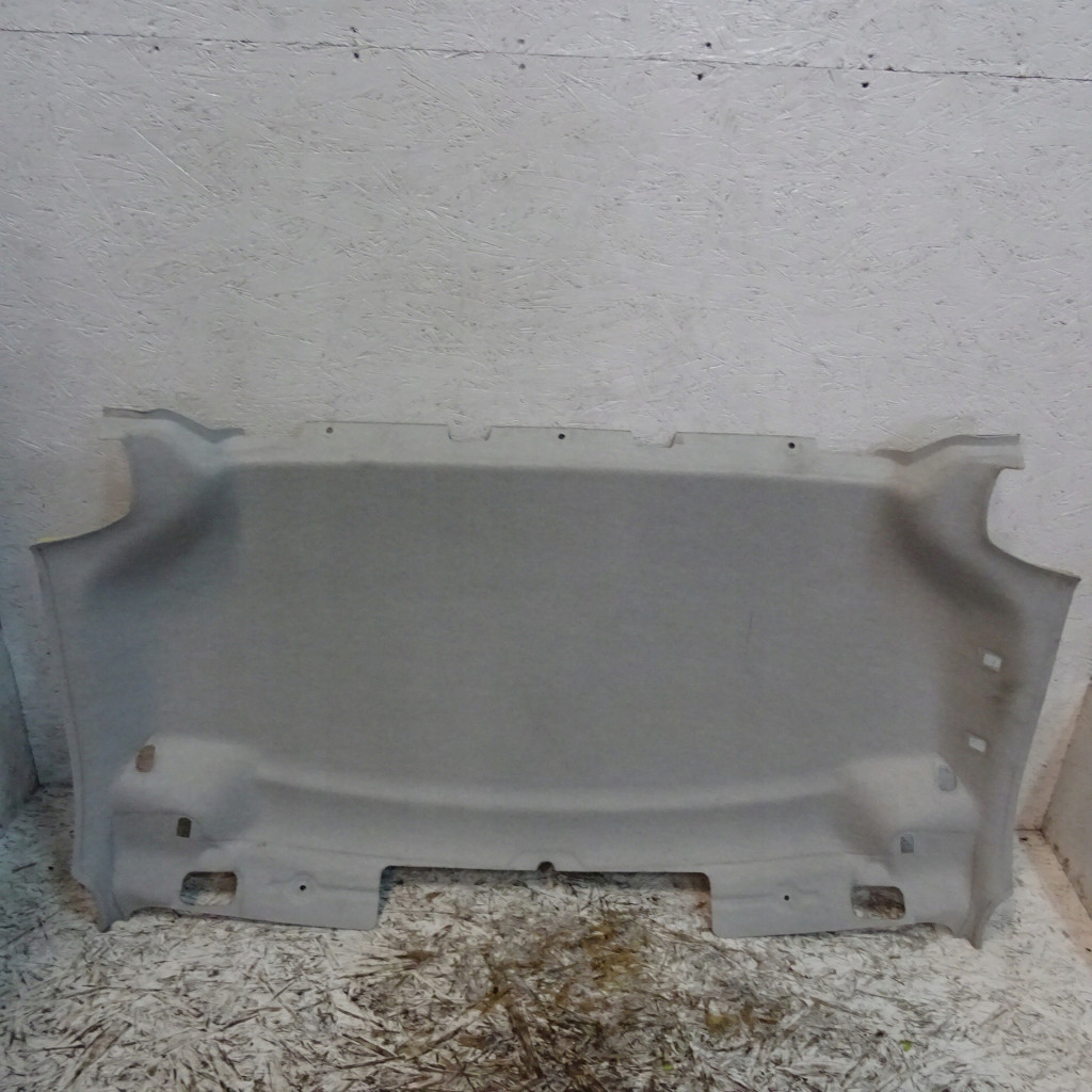 фото №2, Fiat doblo ii lift потолок