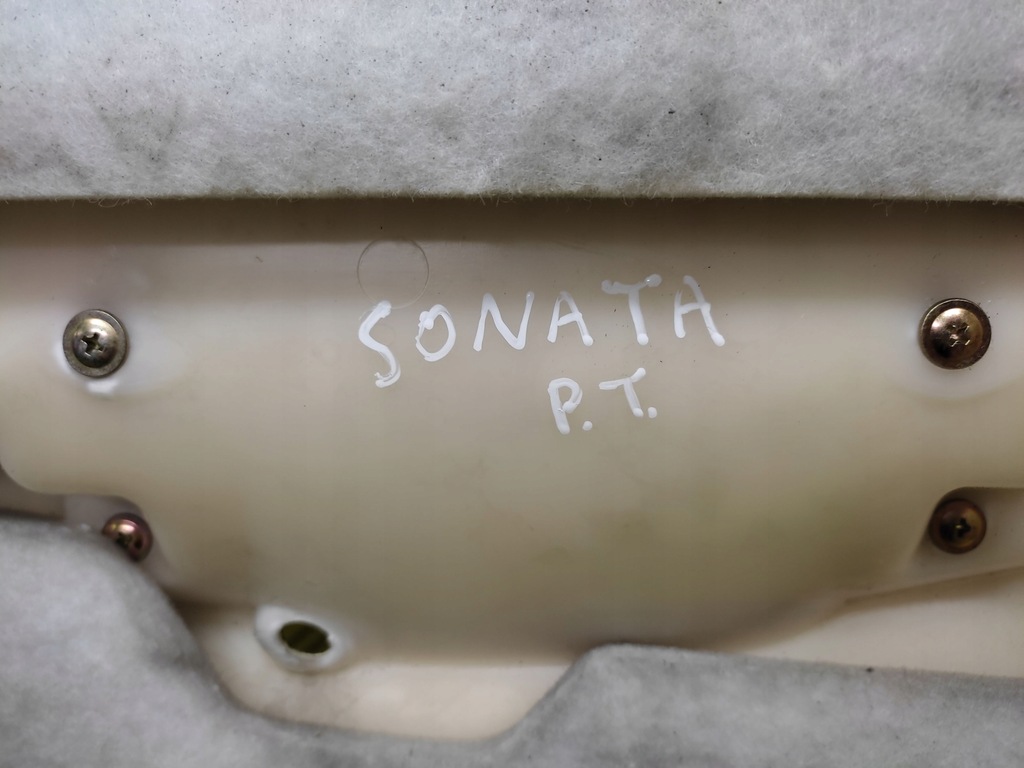 фото №9, Hyundai sonata оббивка двері правий задня