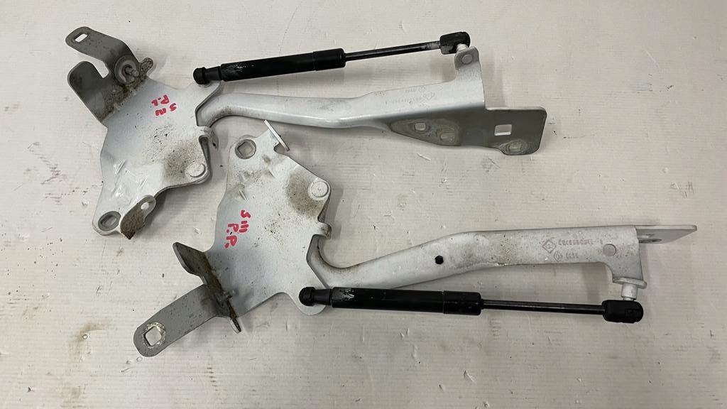 фото №1, Петлі капот лівий правий renault scenic iii dv369