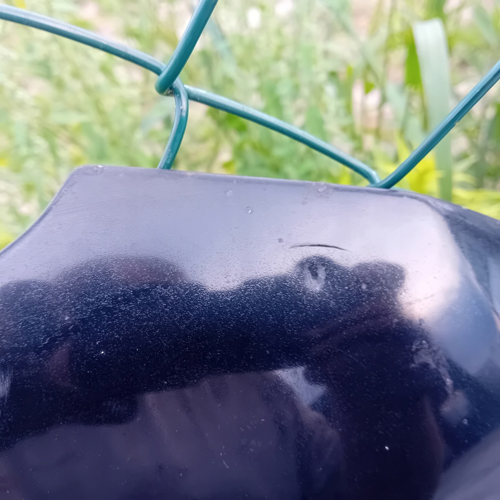 фото №8, Audi a3 8p 07r капот ly9b великий решітка радіатора