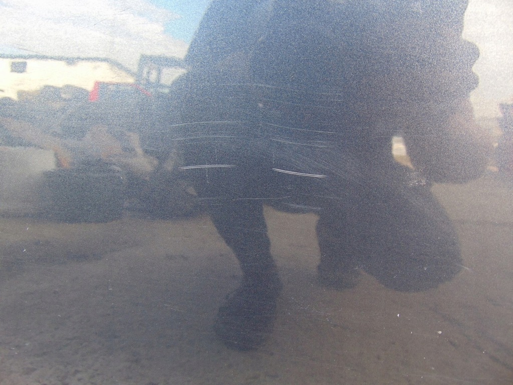 фото №9, Дверь правый перед renault megane iii kombi