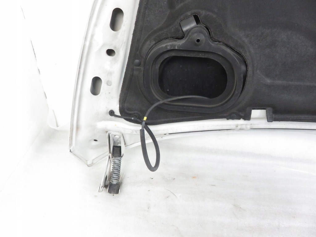 фото №5, Капот iveco daily vi