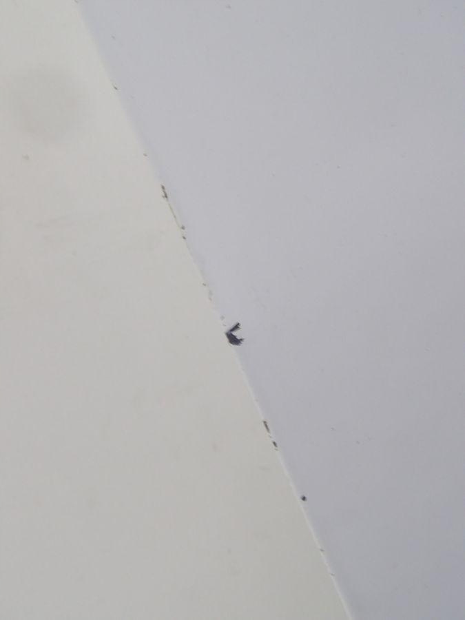 фото №9, Iveco daily iv v 06-14 дверь правый перед широкая молдинг