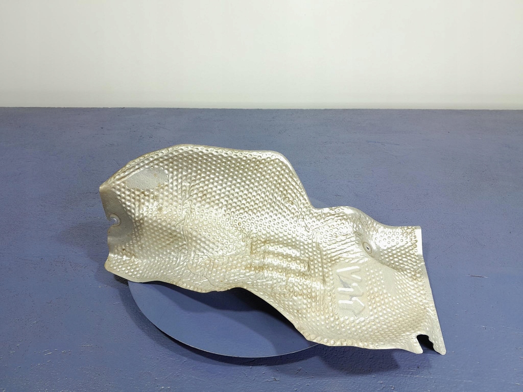 фото №3, Toyota rav4 v xa50 захист теплова