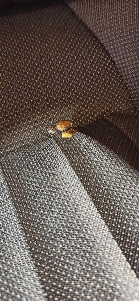 фото №9, Vw tiguan allspace сиденья заднее сиденье 7 человек