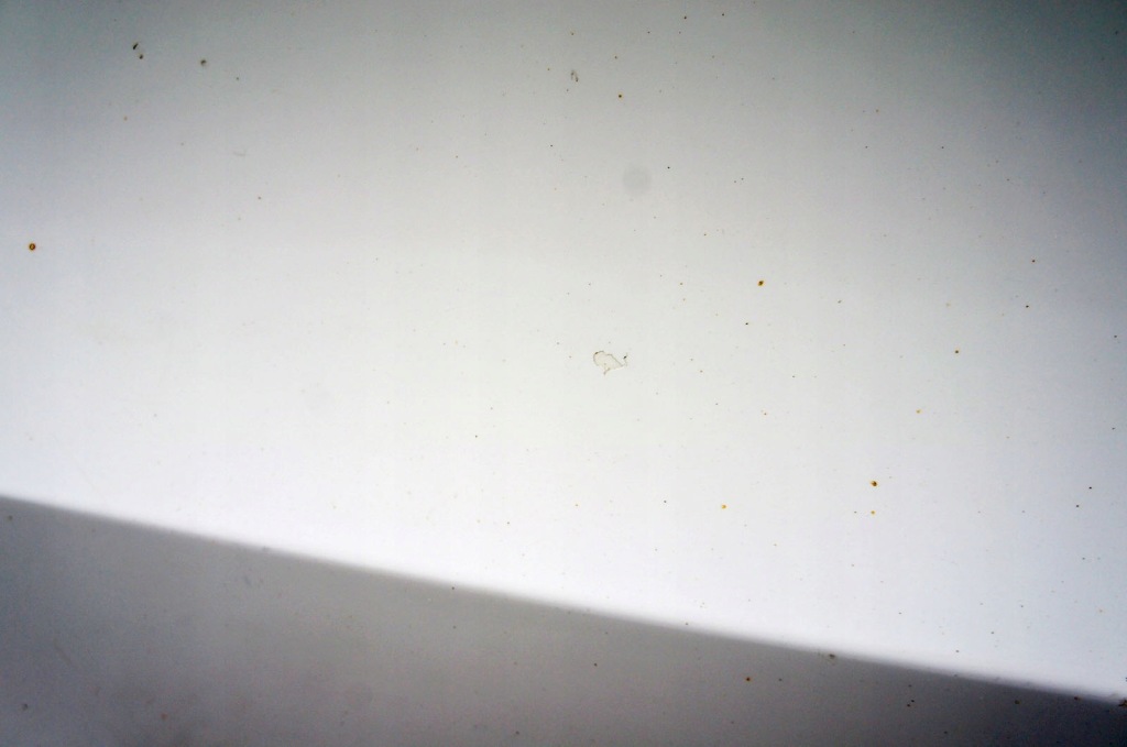 фото №7, Sq286 audi q5 i 8r ^ двері правий перед ibis white ly9c/t9