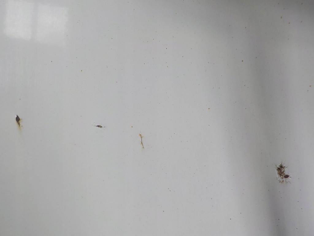 фото №4, Vw transporter t5 04- дверь задняя задние правое