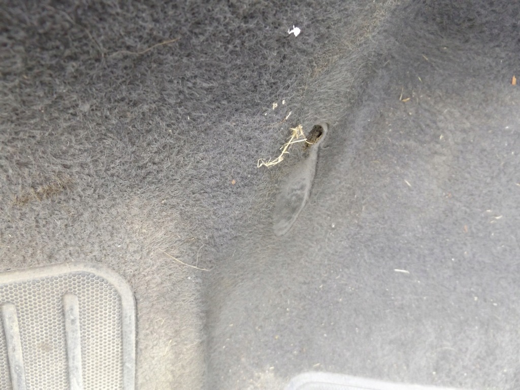 фото №5, Berlingo i lift килимок обшивка