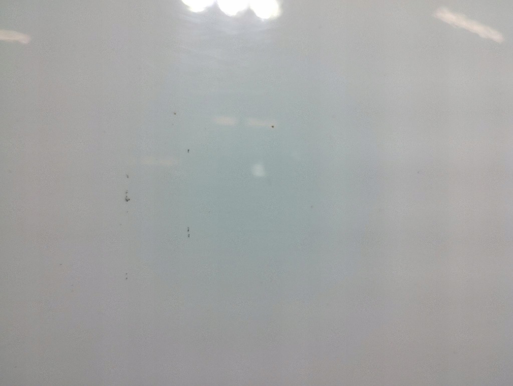 фото №8, Ford c-max mk1 дверь задняя правое frozen white