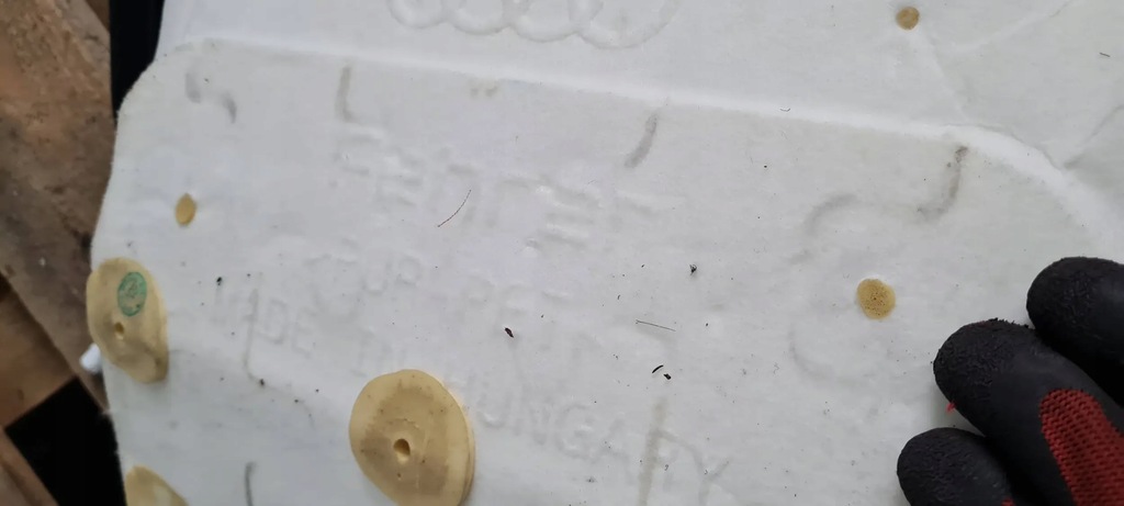 фото №11, Q3 83a сиденье сиденье правый перед кожа sline perlnappa сиденье