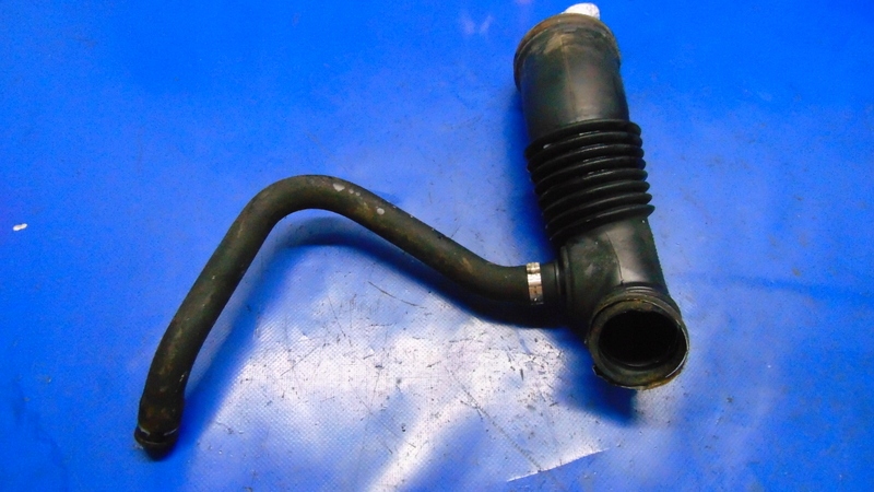 Купити Iveco оригінальний номер 504135455 шланг