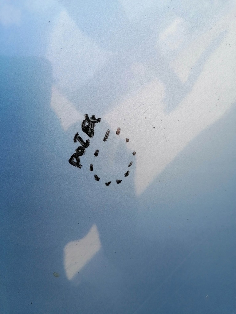 фото №3, Двері ліва перед renault grand scenic iii terpa