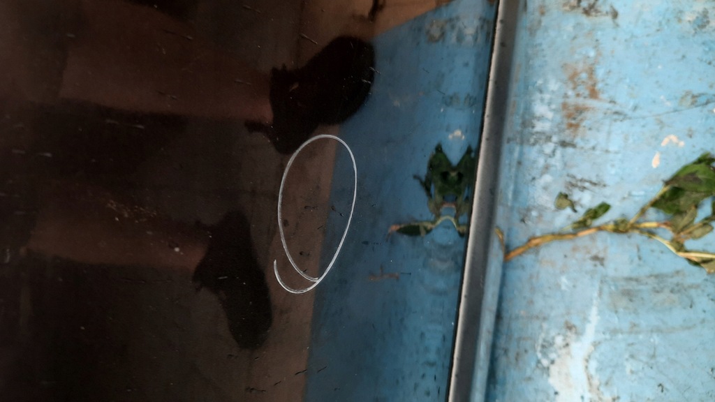 фото №3, Дверь задняя левая toyota avensis 02r hb