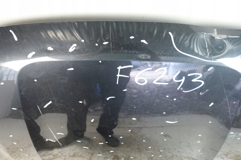 фото №9, Dacia logan iii sandero iii 2020- крышка капот двигателя 651224904r grad