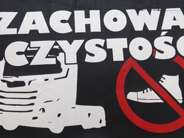 фото №3, Защита дождезащитная порог дверь scania r g p