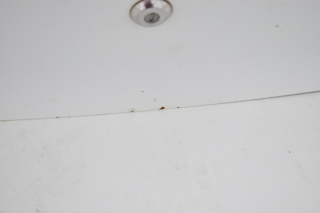 фото №4, Крышка багажника задняя задняя suzuki alto vii gf