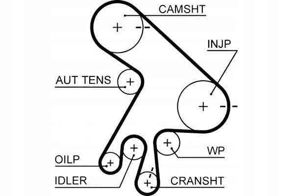 фото №2, Gates 5562xs ремень распределительного вала