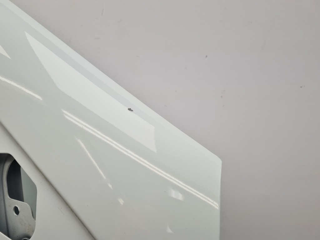 фото №9, Dacia sandero ii двері правий перед dv369