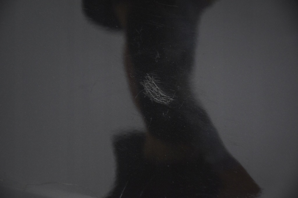 фото №10, Бампер задний задняя vw eos pdc