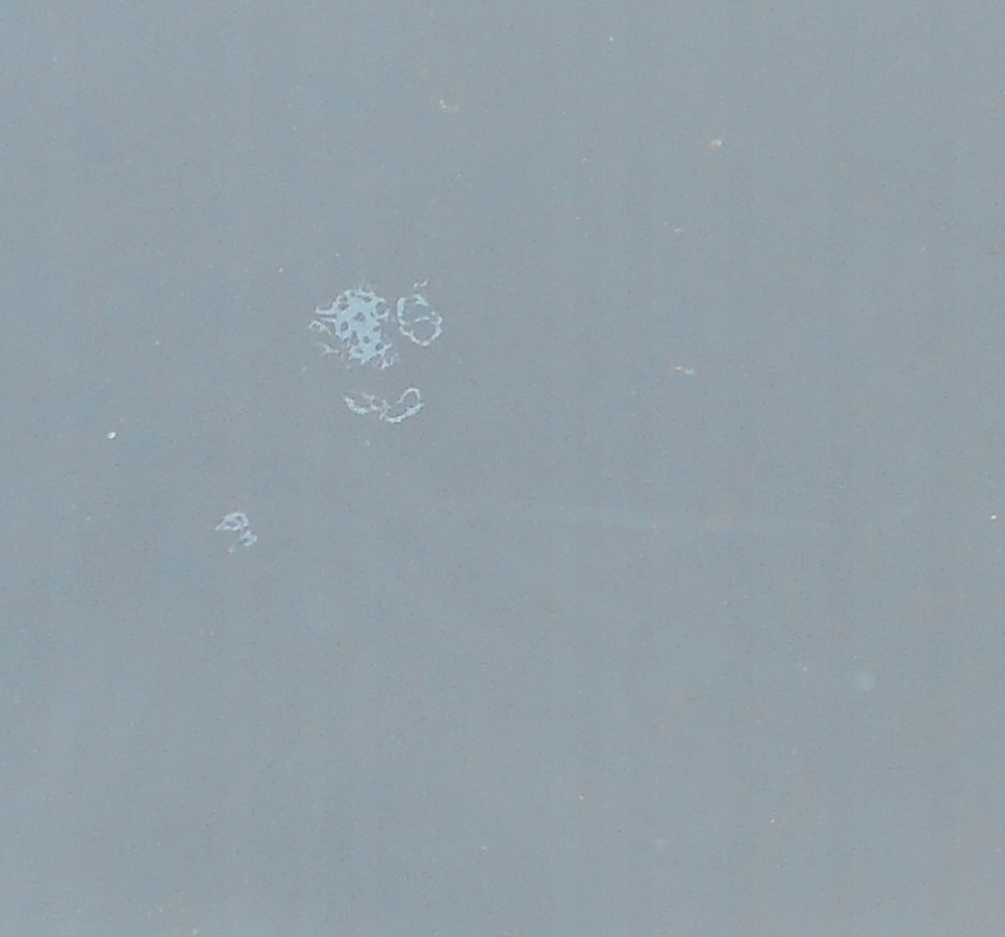 фото №7, Citroen c5 iii капот