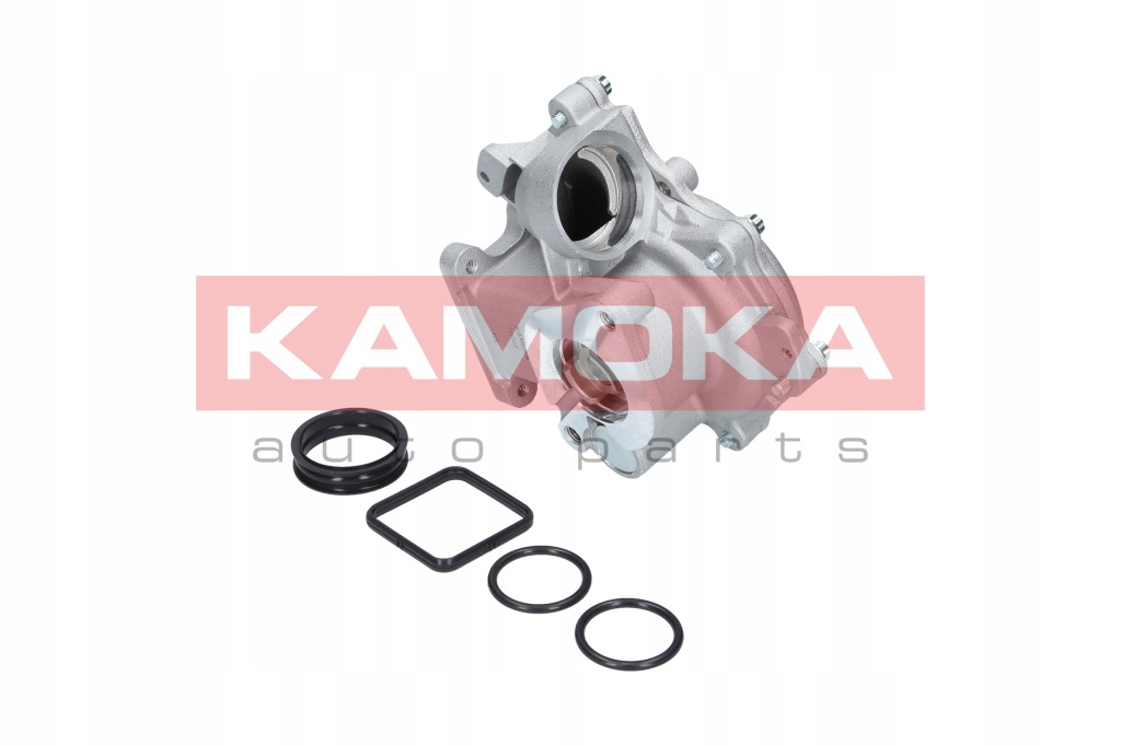 фото №3, Насос воды kamoka t0049