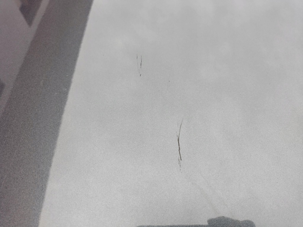 фото №13, Audi a6 s6 c7 4g lift 15-18 капот крышка двигателя lz7s daytona gray