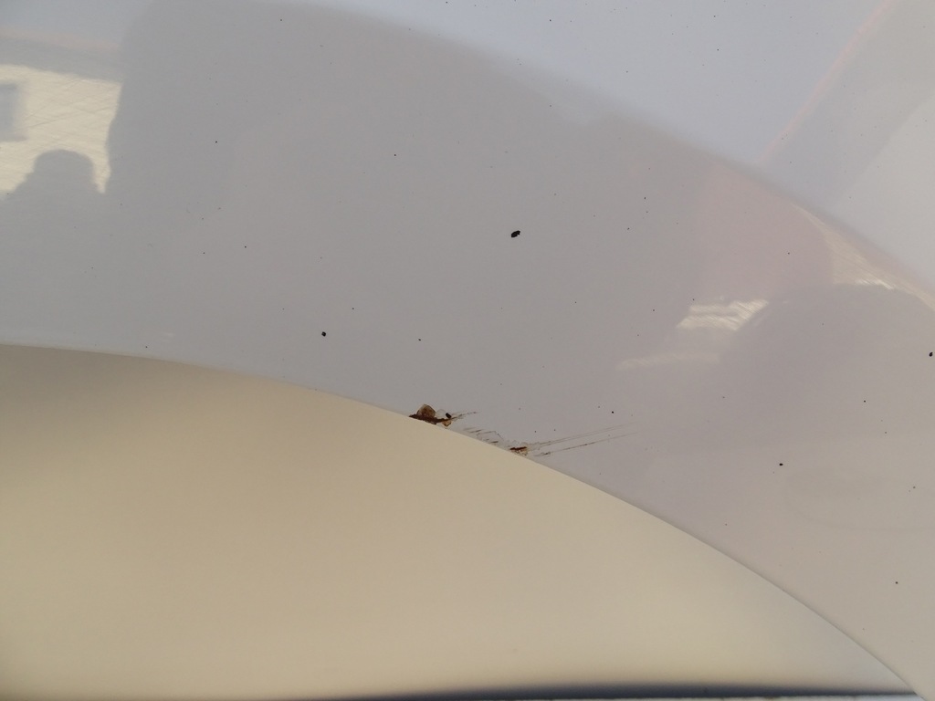 фото №9, Крила лівий перед передній lf9e skoda yeti i lift 5l0 12-17r