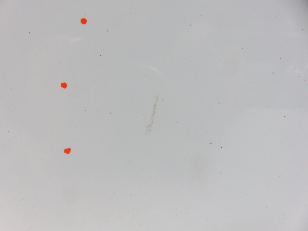 фото №11, Дверь правый задняя hyundai ix35 lm, el, elh wd