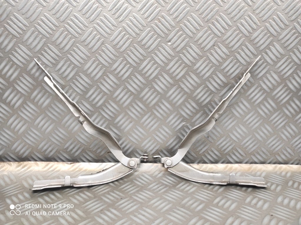 фото №1, Петлі капот комплект петля капот лівий правий citroen c4 cactus ezrc