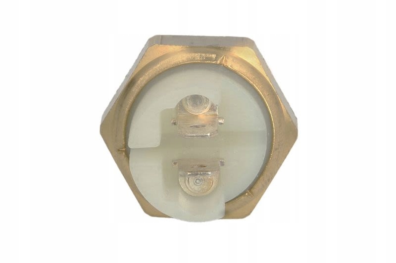 фото №2, Датчики температуры w calorstat by vernet ws2617