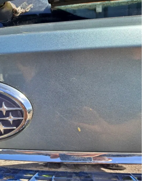 фото №11, Крышка багажника багажника subaru outback iv c1f
