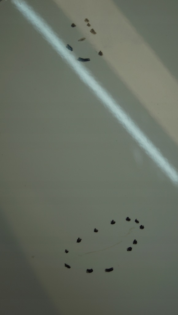 фото №11, Крыло правый перед kia picanto i lift ud