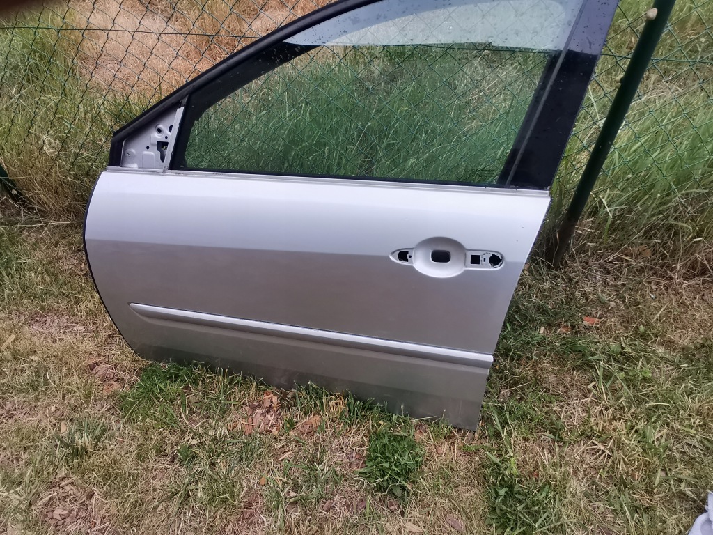 фото №4, Дверь левый перед renault laguna iii ted69