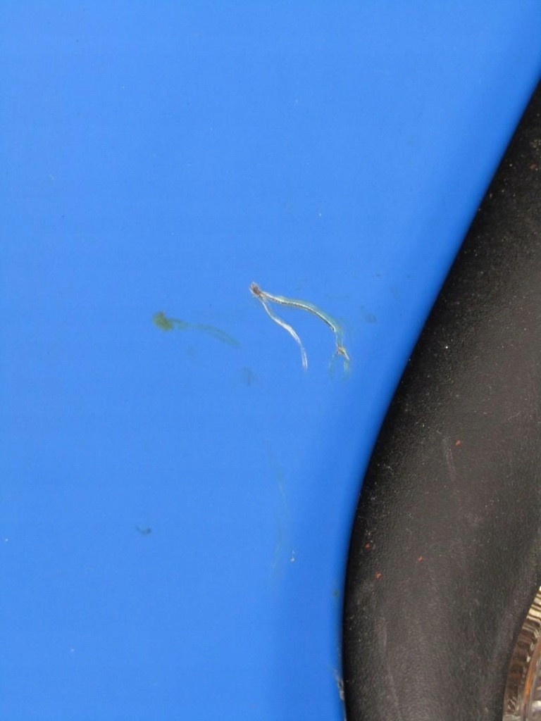 Купити Бампер передній перед 364 jeep renegade