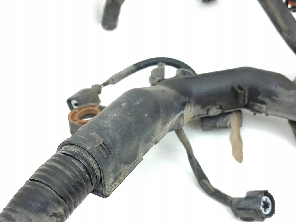 фото №16, Honda accord 2008 джгут двигуна