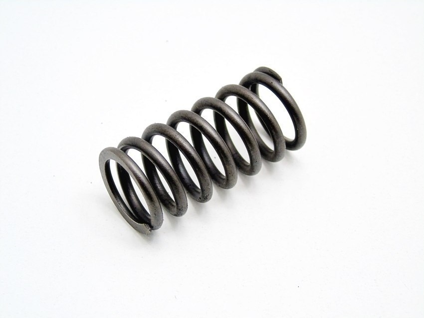 фото №1, Пружина клапана головки 2.2 cdti vcdi antara captiva z22d1