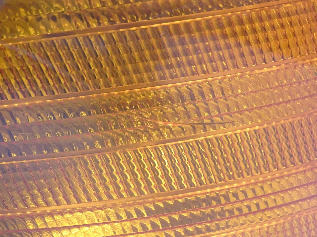 фото №5, Mercedes vito w638 поворотник правый перед