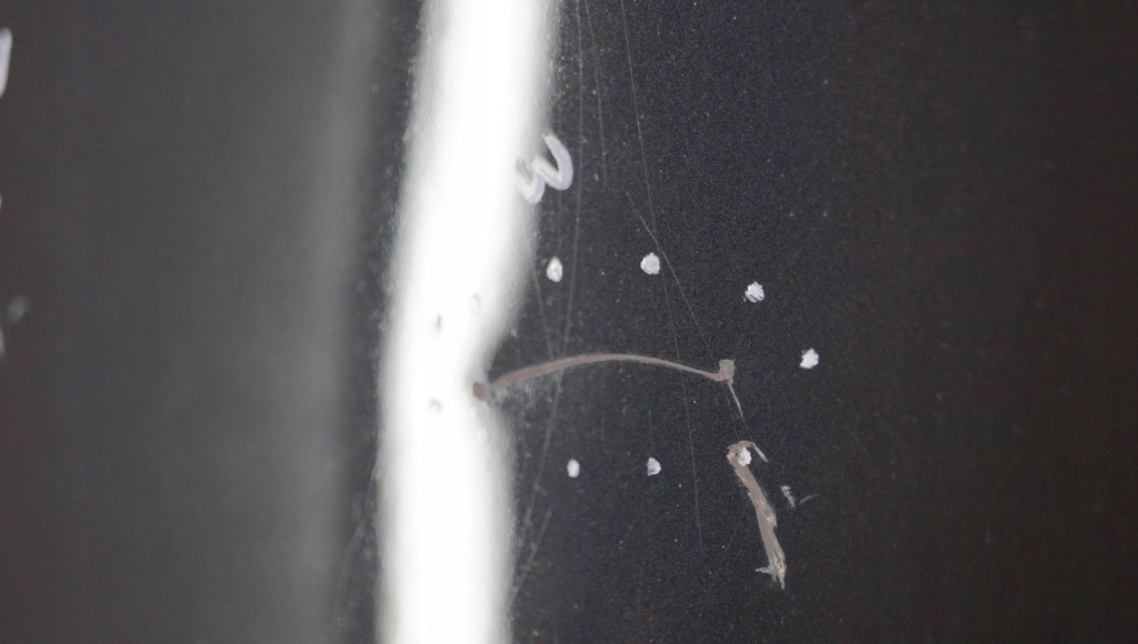 фото №10, Peugeot 407 coupe капот кришка двигуна m931