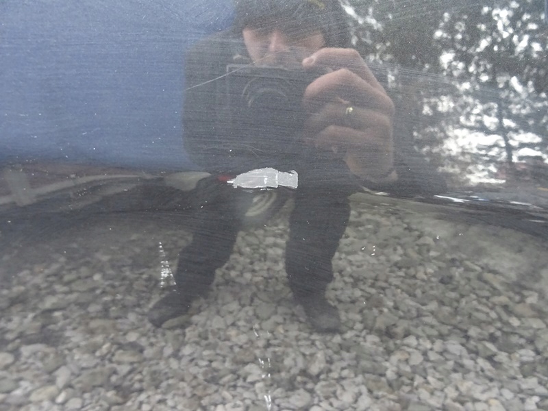 фото №3, Двері правий перед renault espace iv lift nv676