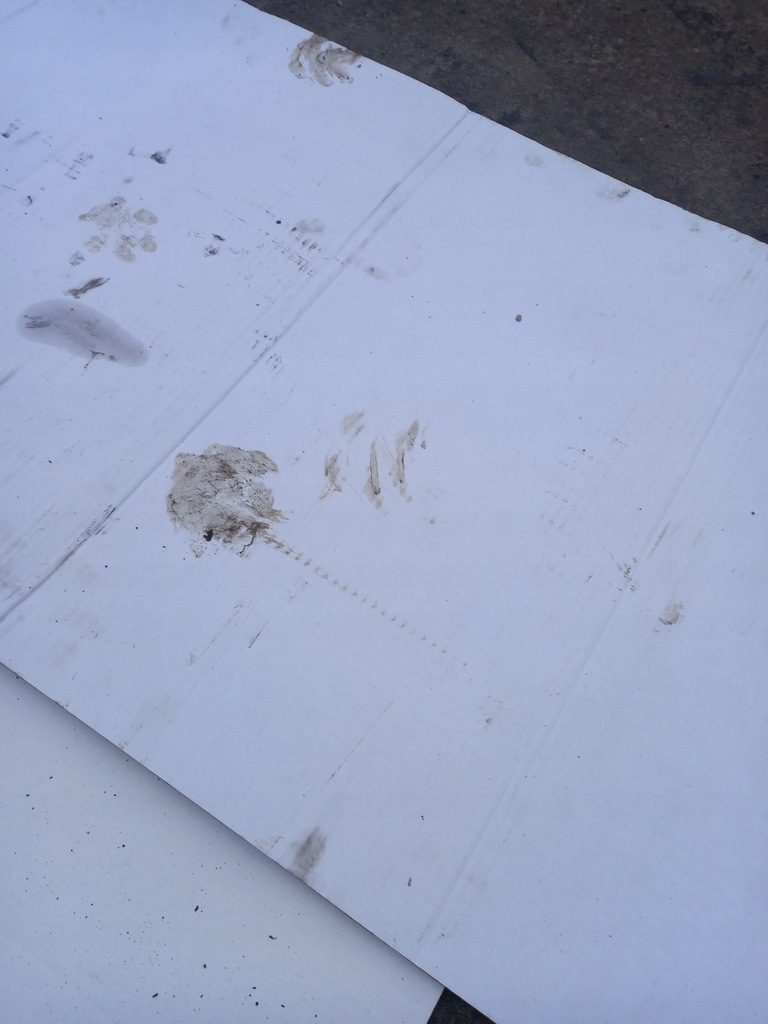 фото №9, Балка бампера ford galaxy mk3 2.0 tdci