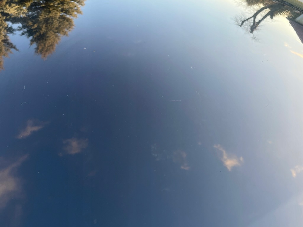 фото №9, Капот кришка двигуна audi a3 8p lift 08-12 ly9b