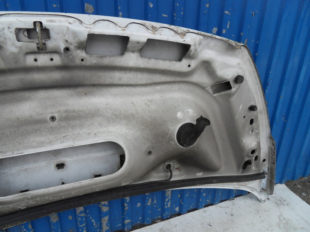 фото №12, Expert ii 06-16 капот передняя перед белый ewpa