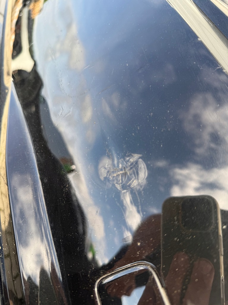 фото №9, Бампер задняя задний audi tt rs iii 8s0 диффузор 4xpdc ttrs 8s