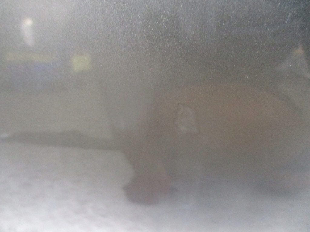 фото №6, Двері лівий перед nissan almera n16 k30