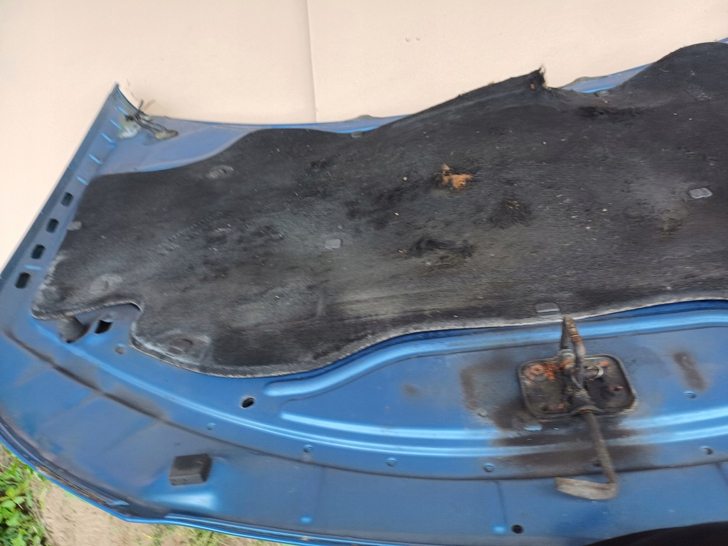 фото №11, Капот seat ibiza iv lift цвет la5r