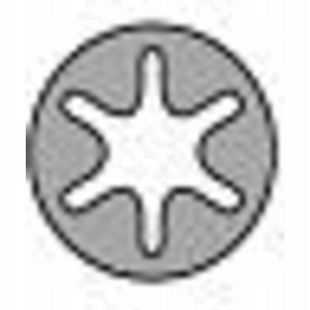 фото №1, Болти головки amc 258255